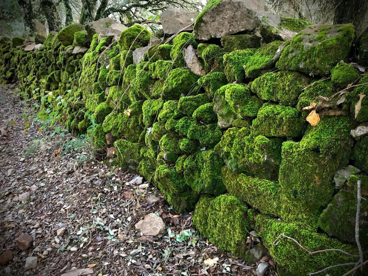 Casa Rural Sierra Tortola 1 Hinojales エクステリア 写真
